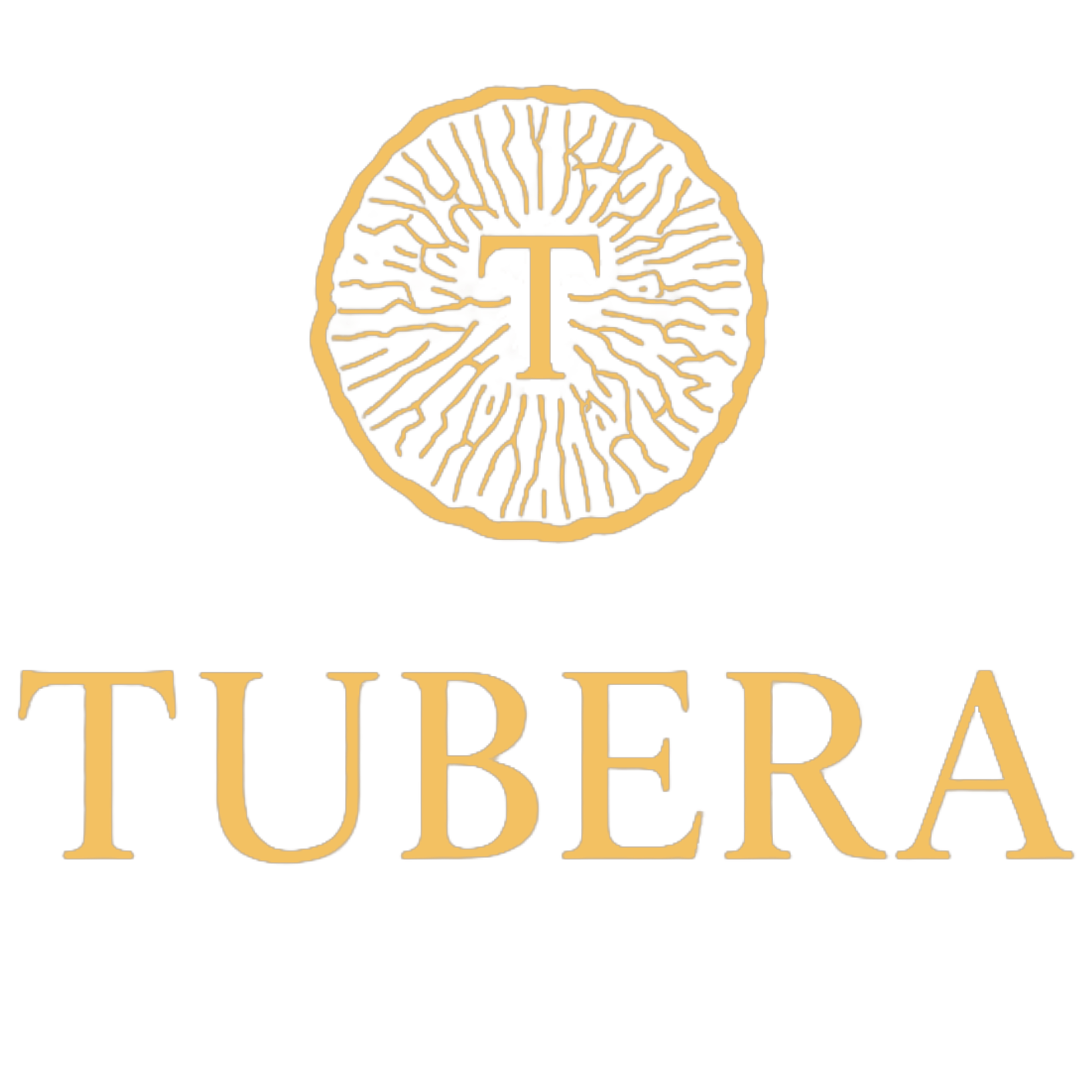 TUBERA